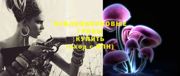 PSILOCYBIN Балахна