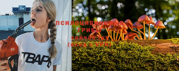 трава Армянск