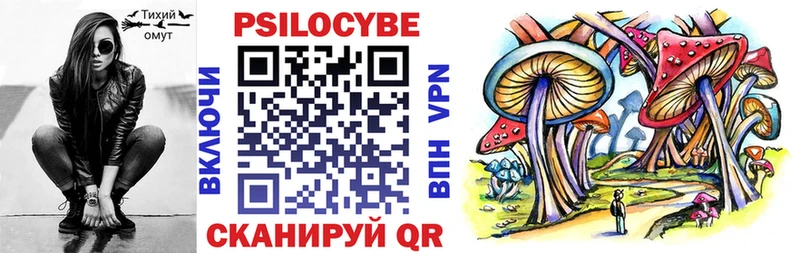 Купить  Кириллов  Псилоцибиновые грибы Psilocybine cubensis 