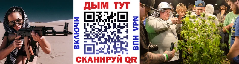 Конопля планчик  Купить закладки  Кириллов 